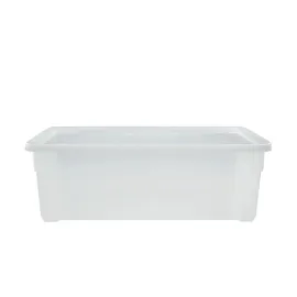 Rotho Clear Box 19 x 33 x 11 cm 1-tlg. transparent