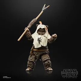 Hasbro Star Wars Paploo 15 cm - Mehrfarbig