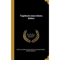 Tagebuch Eines Bösen Buben