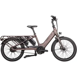Hercules Rob Family F360 Braun Modell Aktion