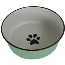 Edelstahl Futternapf Minzgrün für Hund und Katze 20 cm