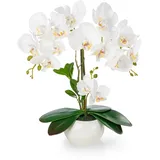 Kunstorchidee PASCH® Orchidee künstlich wie echt (40cm) in Hochglanz-Keramiktopf Orchidee, PASCH weiß