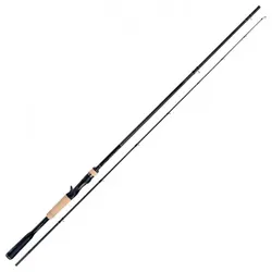 Shimano Expride Casting, 218cm / 14-42g