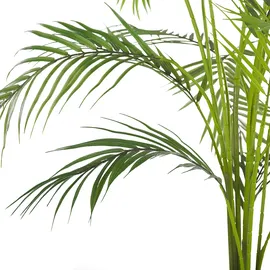 Beliani Kunstpflanze Areca Palm 124 cm Grün