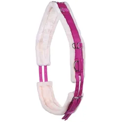 QHP Ontario Longiergurt - sky - VB