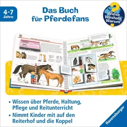 Alles über Pferde und Ponys