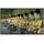 Papermoon Infrarotheizung U Min Thonze Buddhas 600 W bunt