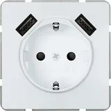 Siemens DELTA style USB-SCHUKO 5UB18701TW01