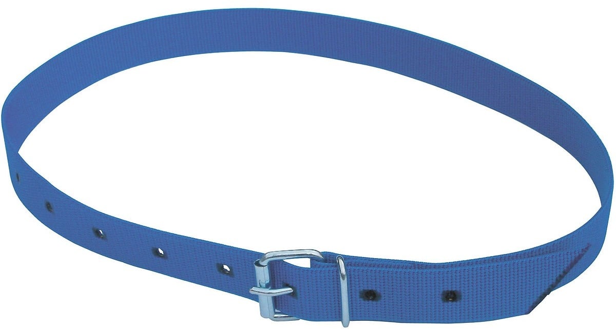 Kerbl Markierungsband mit Rollschnalle blau 120 - 20868 - blau