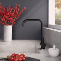 Fortis Brera window Küchenarmatur schwarz