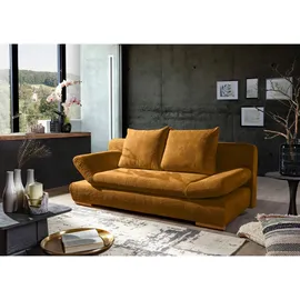 Roller Schlafcouch Polyester 2-Sitzer Grau
