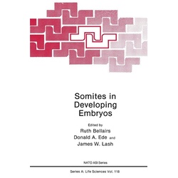 Somites in Developing Embryos als eBook Download von Ruth Bellairs