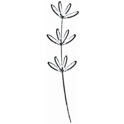artoz Motivstempel Blume
