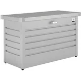 Biohort Freizeitbox 100 silber-metallic