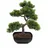 Europalms Bonsai-Pinie, Kunstpflanze, 50cm