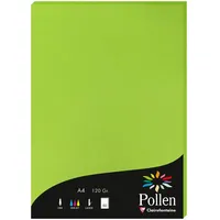 Pollen 10x Papier A4 Pollen 120g 50 Blatt -
