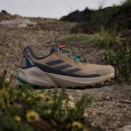 adidas Terrex Trailmaker 2 GTX Speed Lace Herren Cardboard/Grey Five/Carbon 43 1/3