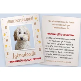 Teddy-Hermann Labradoodle sitzend