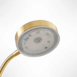 LINDBY Seppa 9945422 Gold