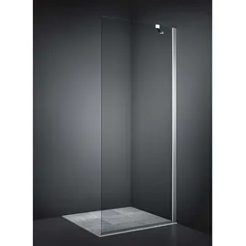 Dansani Match Seitenwand für Tür, 97-99cm, klares Glas
