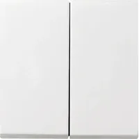 Gira Serienschalter 2-fach