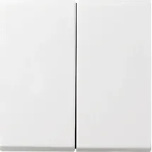 Gira Serienschalter 2-fach