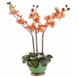 I.GE.A. Kunstpflanze »Orchidee«, orange