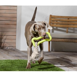 Tchibo - Hundespielzeug - hellgrün