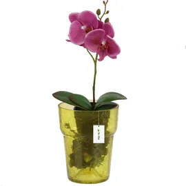 Botle Blumentopf Blumenübertopf Glas, für Orchideen Orchideentopf D 15,5cm H 18cm Gelb