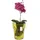 Botle Blumentopf Blumenübertopf Glas, für Orchideen Orchideentopf D 15,5cm H 18cm Gelb