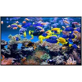 Papermoon Infrarotheizung Aquarium, sehr angenehme Strahlungswärme bunt