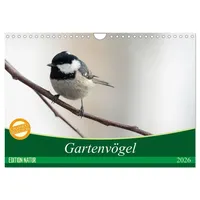 Calvendo Gartenvögel (Wandkalender 2026 DIN A4 quer), CALVENDO Monatskalender: