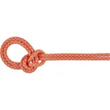 Mammut 8.7 Crag Sender Dry Rope 60m vibrant orange-zen (2286) 60 m