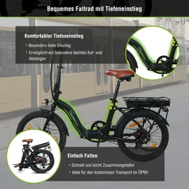 Sachsenrad Faltrad F2 Farmers 20 Zoll RH 35 cm Damen schwarz