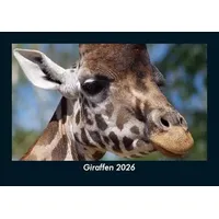 Vero Kalender Giraffen 2026 Fotokalender DIN A5