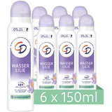 CD Wasserlilie Spray 6 x 150 ml