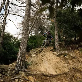 Formula Formula, Velodämpfer, (210 mm, 55 mm)