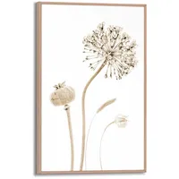 Reinders! Reinders Wandbild 20 x 30 cm Flower Stills