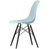 Vitra - Eames Plastic Side Chair DSW RE, Ahorn schwarz / eisgrau (Filzgleiter basic dark)