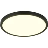 rl live your light Draco 1 40 cm Schwarz matt
