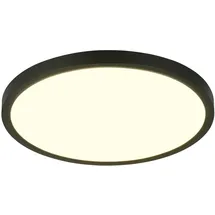 rl live your light Draco 1 40 cm Schwarz matt