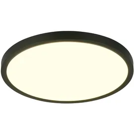 rl live your light Draco 1 40 cm Schwarz matt