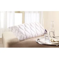 Nackenstützkissen BILLERBECK "Novum, Kissen ist Allergiker freundlich (Hausstauballergiker)", weiß, B:40cm L:80cm, Bezug: 100% Polyester, Kopfkissen, Das flexible Nackenstützkissen