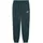 Puma ESS No.1 Logo Sweatpants FL cl (s)