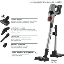 Electrolux EP81AB25UG, Besensauger, grau, 5 Accessoires Dont Brosse poils d'Animaux