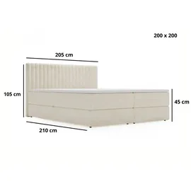 GRAINGOLD Boxbett mit Stauraum ¦ beige ¦ Maße (cm): B: 205 H: 105