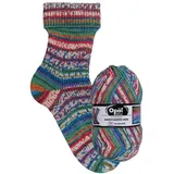 OPAL Sockenwolle 4-fach Nach Hundertwasser 100 g