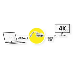 ROLINE GOLD Display Adapter USB Typ C - VGA + HDMI