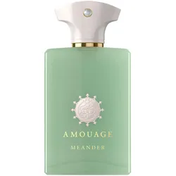 AMOUAGE Odyssey Meander Eau de Parfum 100 ml