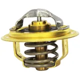 Wahler Thermostat, Kühlmittel